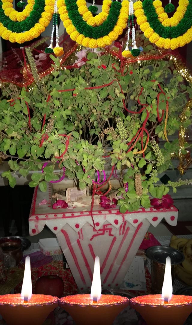 Dev Diwali 2023 - દેવ દિવાળીના દિવસે કરો આ ખાસ કામ, ધનથી ભરાય જશે તમારી ધનની તિજોરી