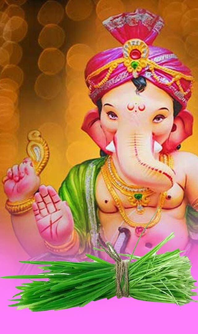 9 સપ્ટેમ્બર 2022 શુક્રવારે ગણેશ પ્રતિમા વિસર્જનના શુભ મુહુર્ત 