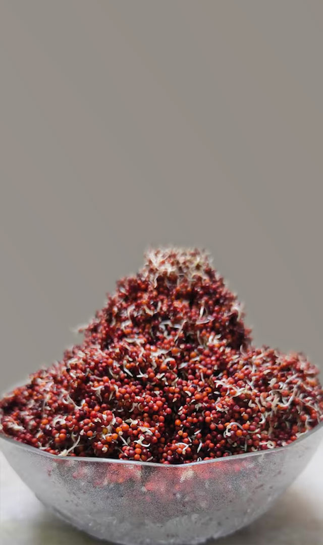 અંકુરિત રાગી ખાવાથી તમને આ 10 અદ્ભુત સ્વાસ્થ્ય લાભ મળશે. 