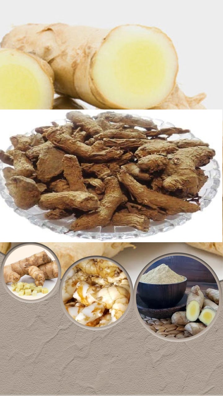 કચૂર શું છે ? જાણો કચુરના 10  ફાયદા