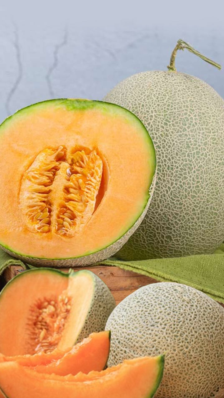   શક્કરટેટી ખાવાથી આ ગેરફાયદા થઈ શકે છે