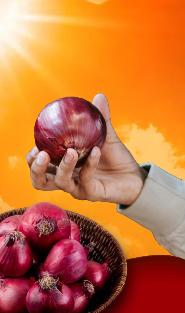  શું તમારા ખિસ્સામાં ડુંગળી રાખવાથી હીટસ્ટ્રોક અટકે છે?