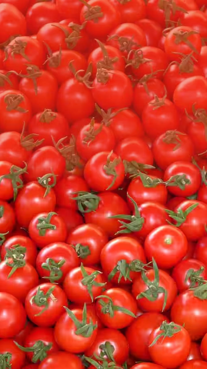 આ 6 લોકો માટે ટામેટા ઝેર છે!