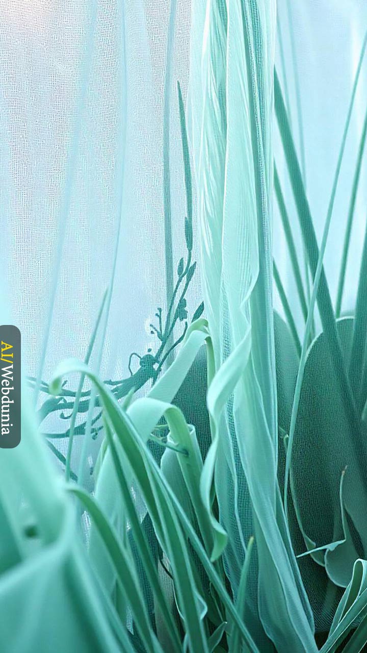 શિયાળામાં ઘરના છોડને બચાવવા માટે સ્માર્ટ ટીપ્સ