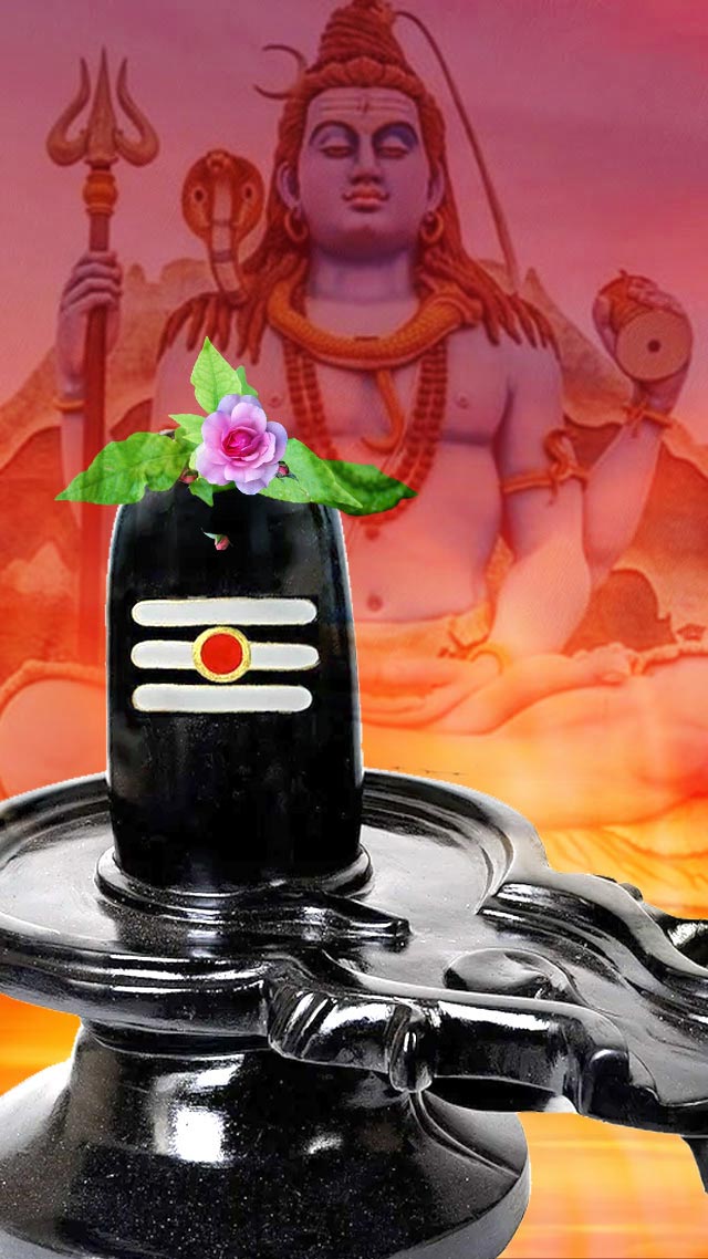 શ્રાવણ મહિનામાં ભૂલથી પણ ન કરશો આ 6 કામ