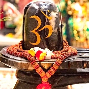  આ 8 અનાજ અર્પિત કરીને શિવને કરો પ્રસન્ન  