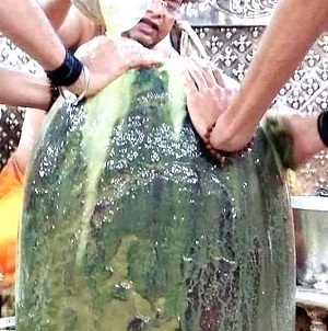  મહાશિવરાત્રીમાં કયો અભિષેક કરવાથી કયુ ફળ મળે છે 