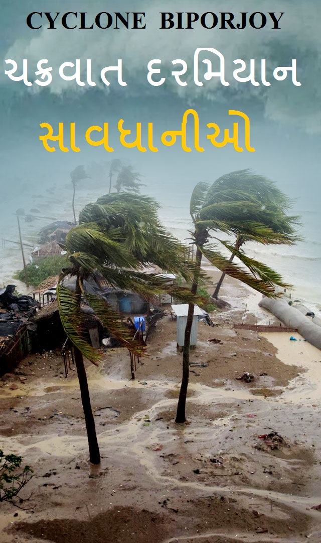 વાવાઝોડા દરમિયાન રાખો આ સાવધાનીઓ  : Cyclone Biparjoy