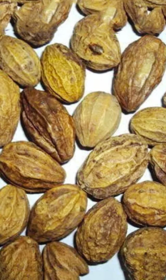  हरड़ खाने के 7 चमत्कारी फायदे