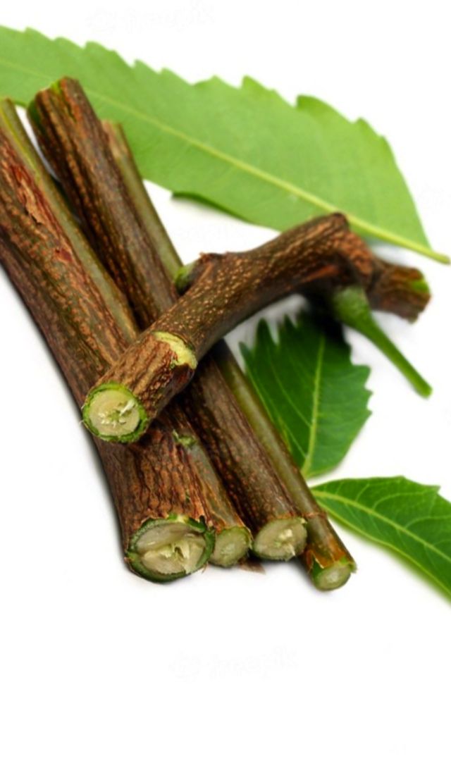 नीम की दातुन करने से क्या फायदा होता है?