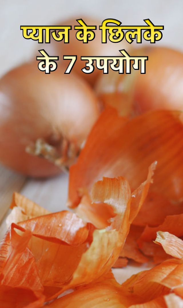 प्याज के छिलके के फायदे, जानिए 7 उपयोग 