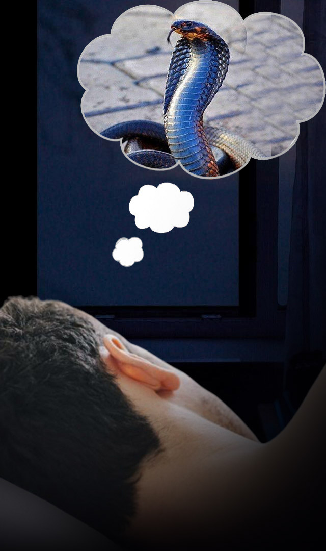 सांप के सपने देखना शुभ या अशुभ?