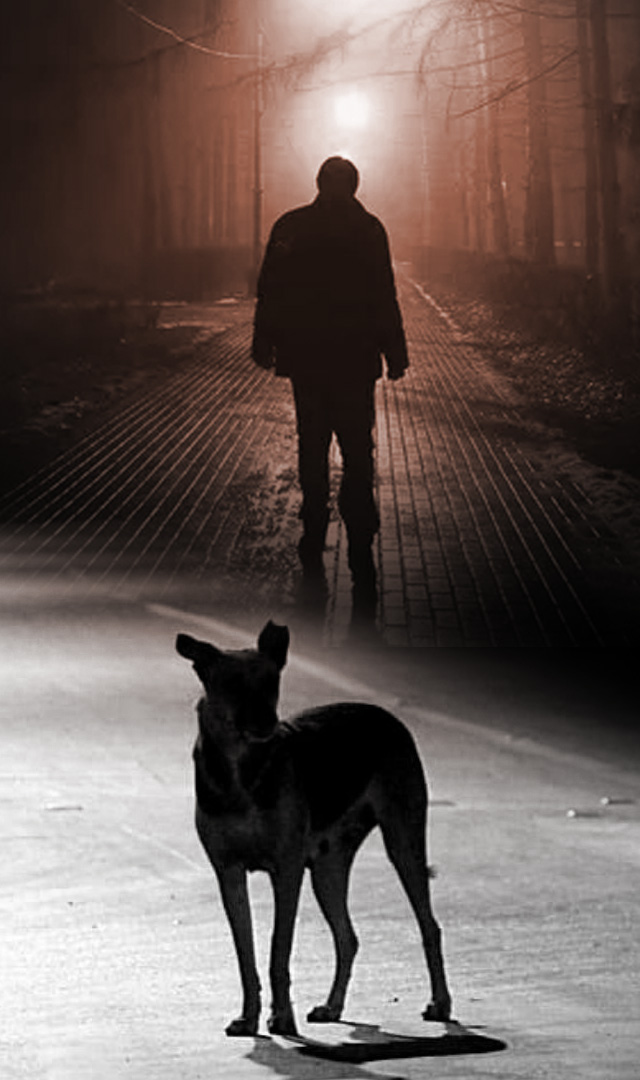 आवारा कुत्ते से बचने के उपाय