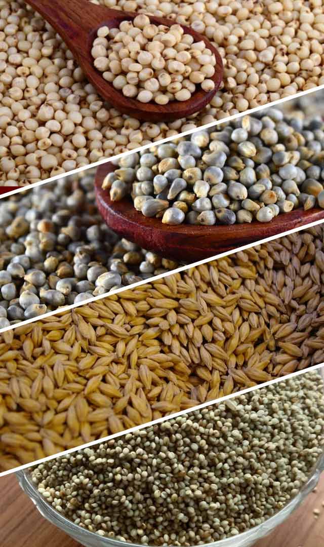 Millets अनाज क्या है और कितने प्रकार का होता है?