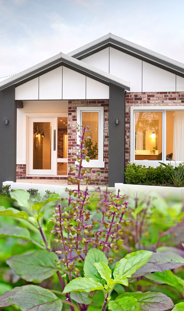 5 लकी प्लांट घर में लाएंगे खुशियां