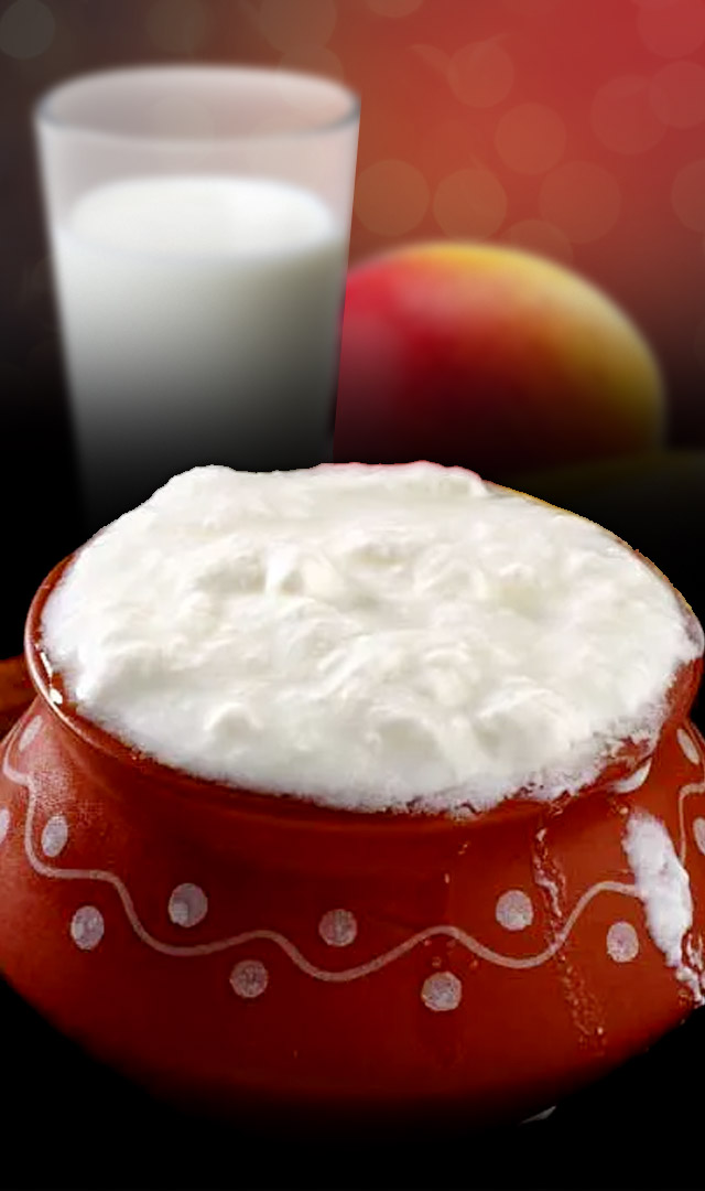 दही के साथ नहीं खाना चाहिए 5 चीजें