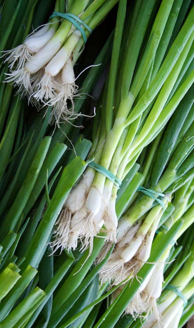 हरे प्याज के Health Benefits