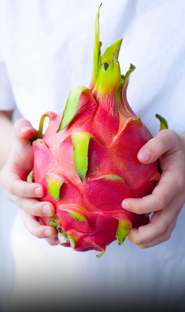 Dragon Fruit खाने से क्या होता है? जानिए फायदे