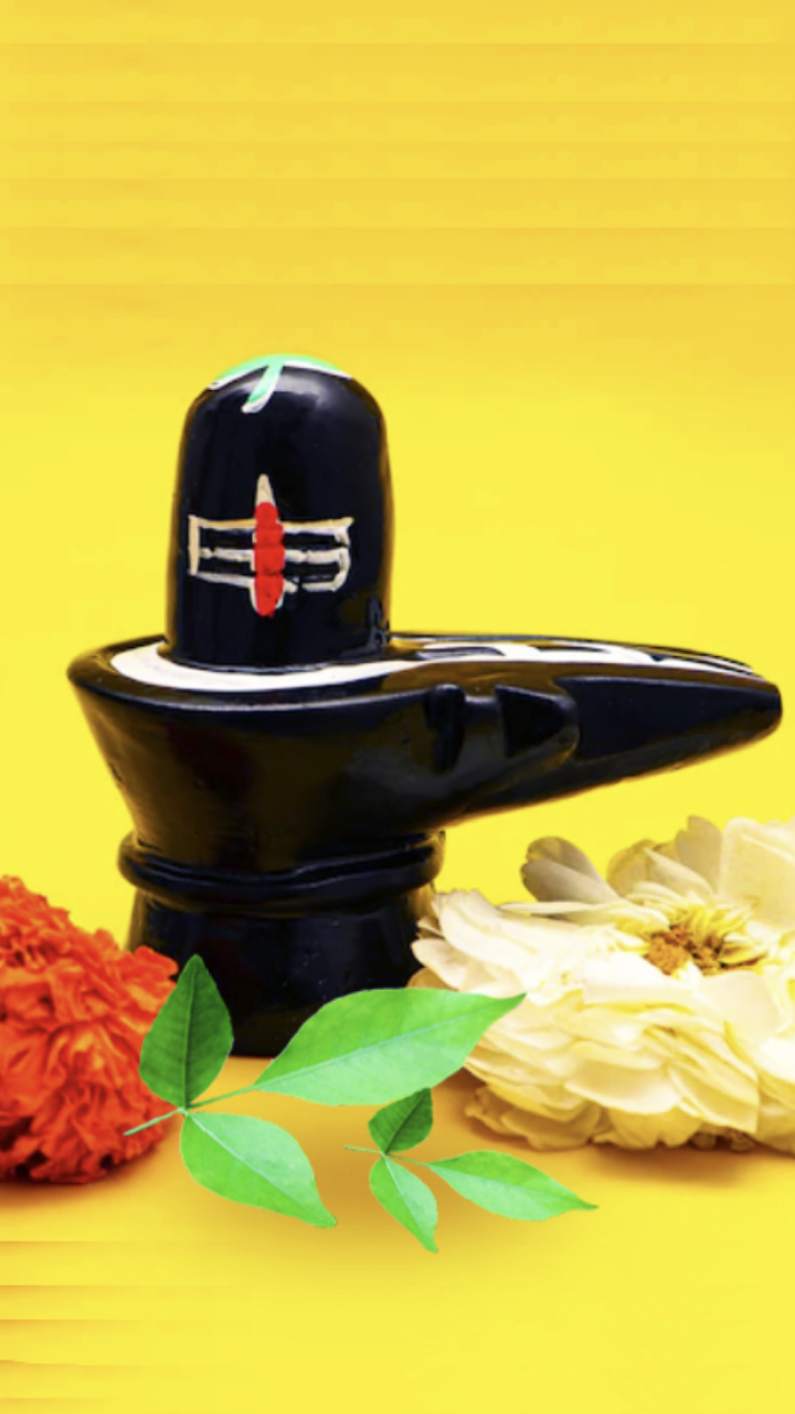 श्रावण माह में रुद्राभिषेक के 5 फायदे