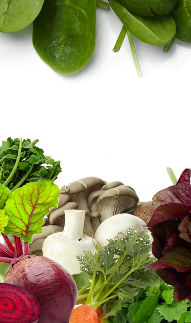 Body को Detox करेंगी घर में मौजूद 7 चीजें 