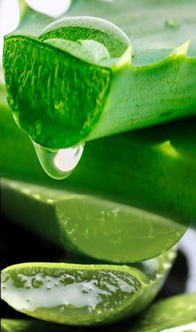 Aloe Vera  के लाभ, पुरुषों के लिए खास