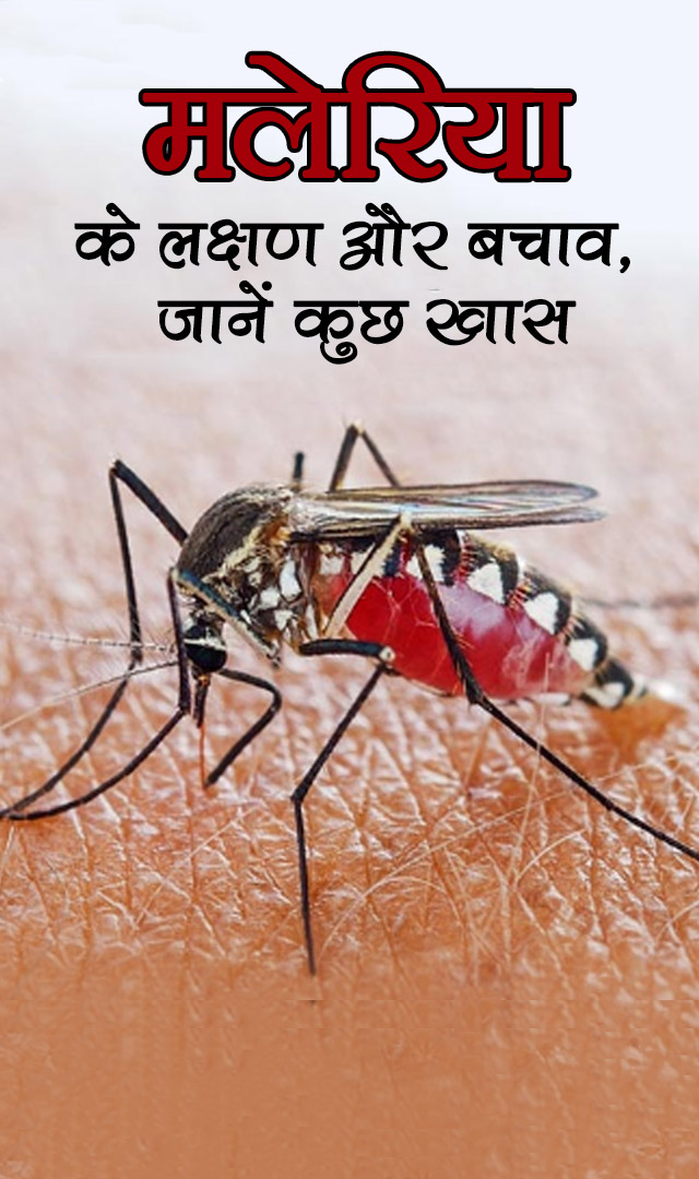 मलेरिया के लक्षण और बचाव, जानें कुछ खास