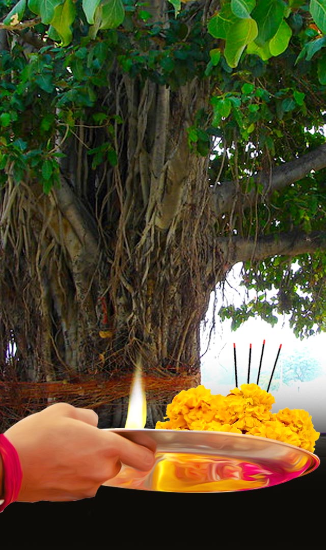 वट सावित्री व्रत पूजा सामग्री की सूची