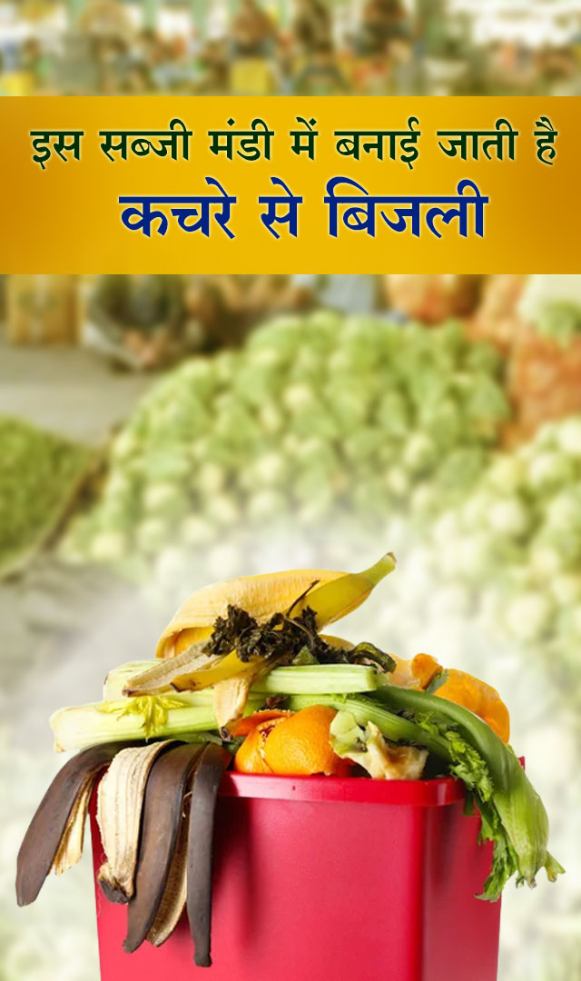 इस सब्जी मंडी में बनाई जाती है कचरे से बिजली