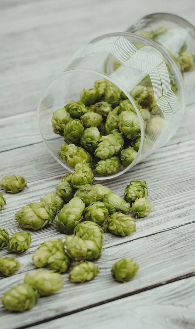 यह है दुनिया की सबसे महंगी सब्जी, कीमत सुनकर टमाटर लगने लगेगा सस्ता