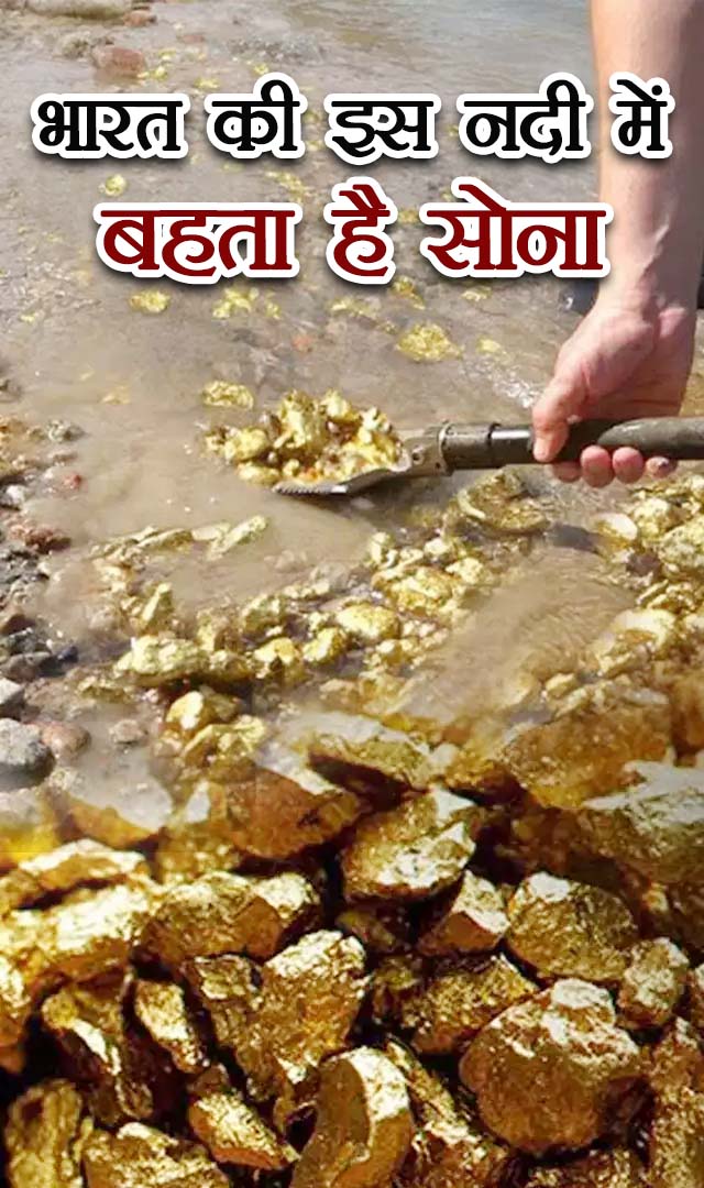 भारत की इस नदी में बहता है सोना