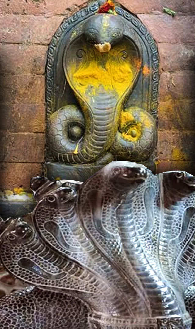 नागपंचमी पर है 10 नागों को पूजने का महत्व