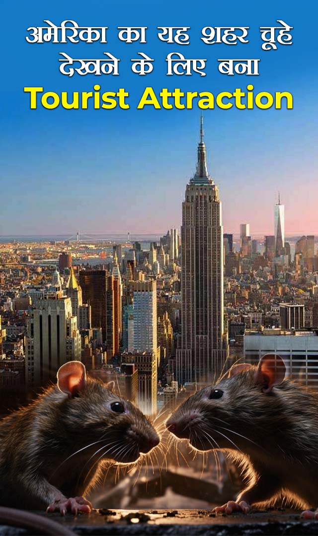 अमेरिका का यह शहर चूहे देखने के लिए बना Tourist Attraction