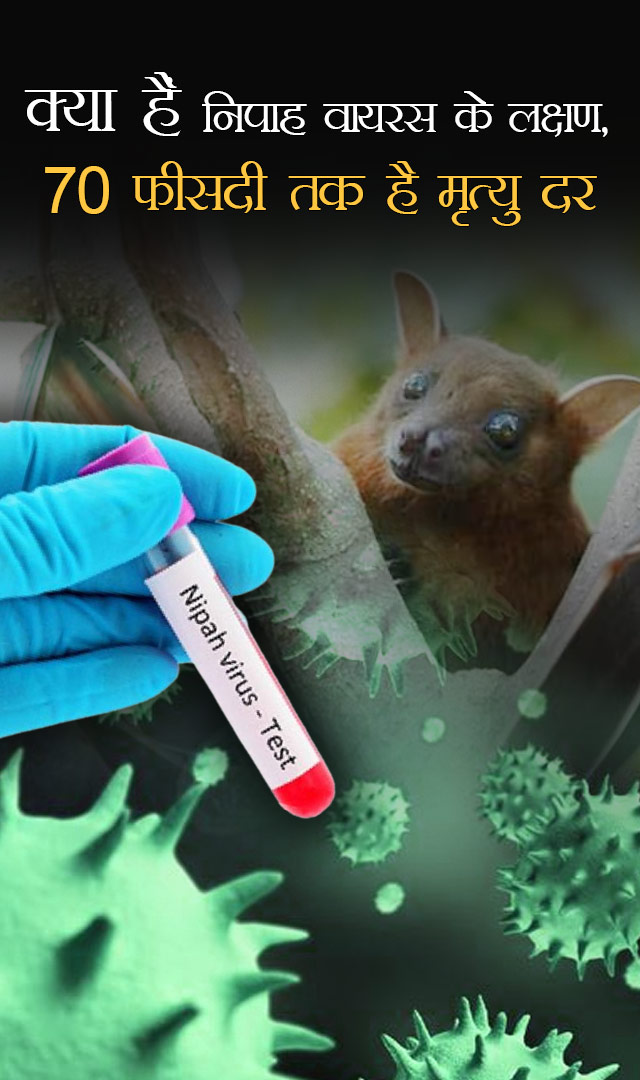 क्या हैं निपाह वायरस के लक्षण, 70 फीसदी तक है मृत्यु दर
