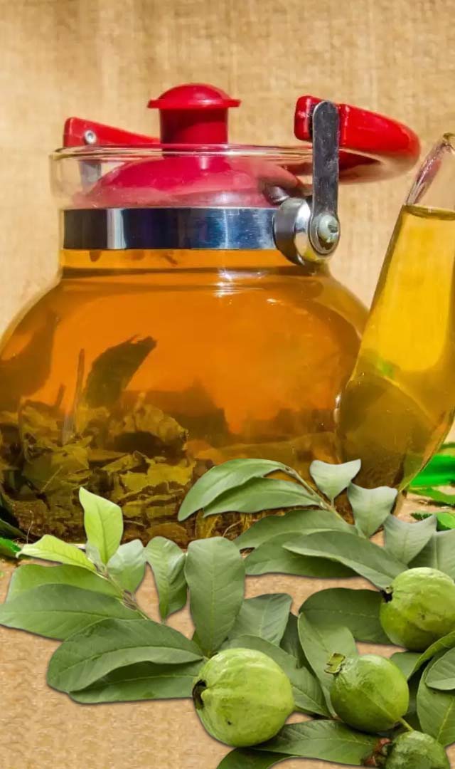 अमरूद के पत्तों की चाय के 7 जबरदस्त फायदे