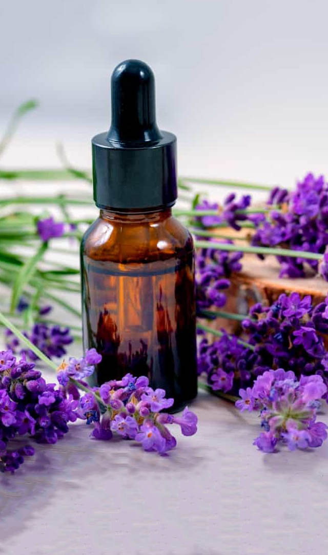 लैवेंडर ऑयल के ये 10 फायदे जानकार खुद को रोक नहीं पाएंगे