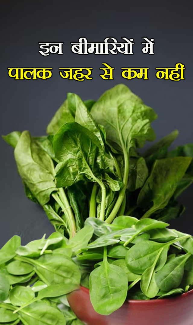 इन बीमारियों में पालक जहर से कम नहीं