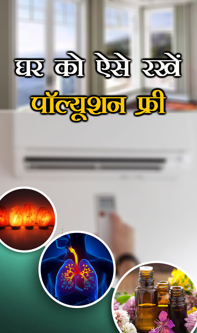 घर को ऐसे रखें पॉल्यूशन फ्री