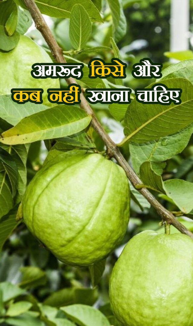 अमरूद किसे और कब नहीं खाना चाहिए