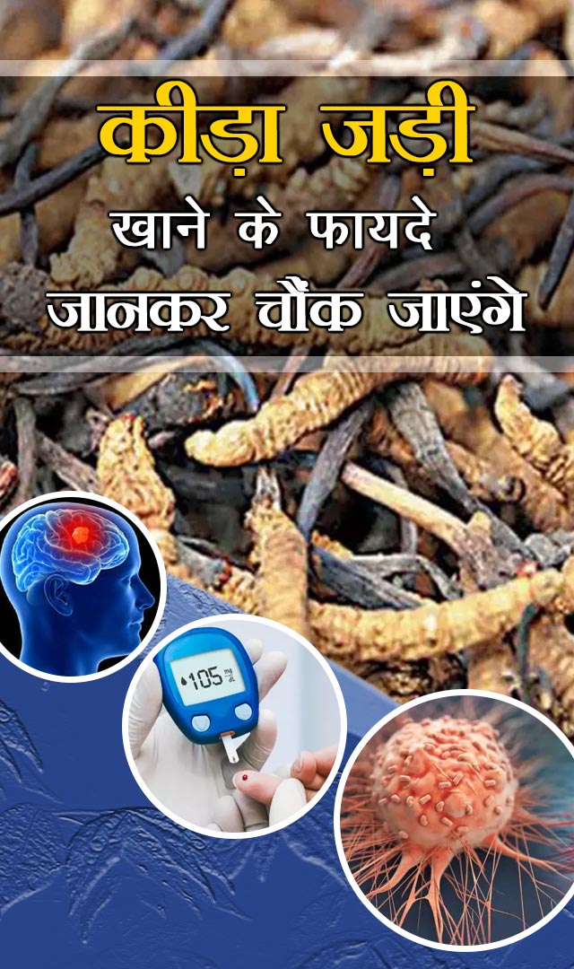 कीड़ा जड़ी खाने के फायदे जानकर चौंक जाएंगे