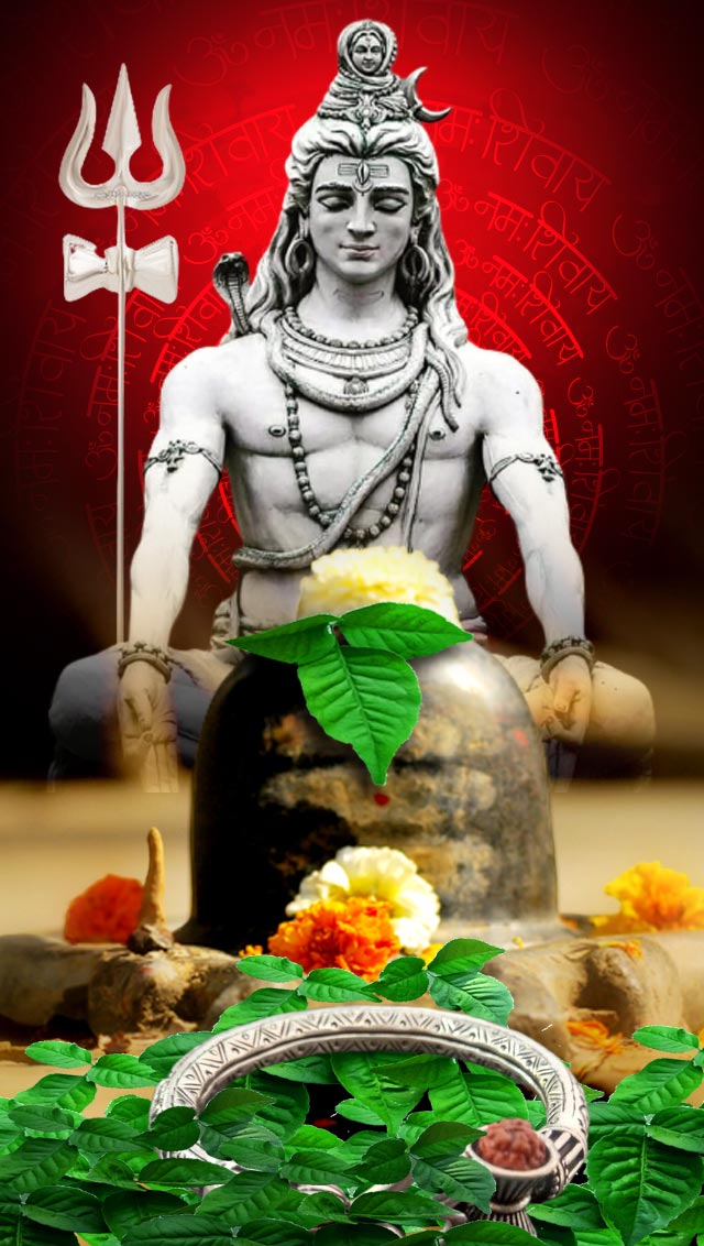 श्रावण में शिव मंदिर पर रख दें चुपके से यह शिव प्रतीक