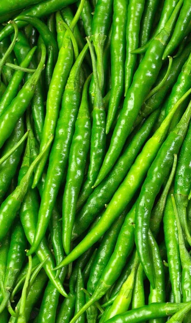 हरी मिर्च : स्वाद में तीखी, गुण में मीठी