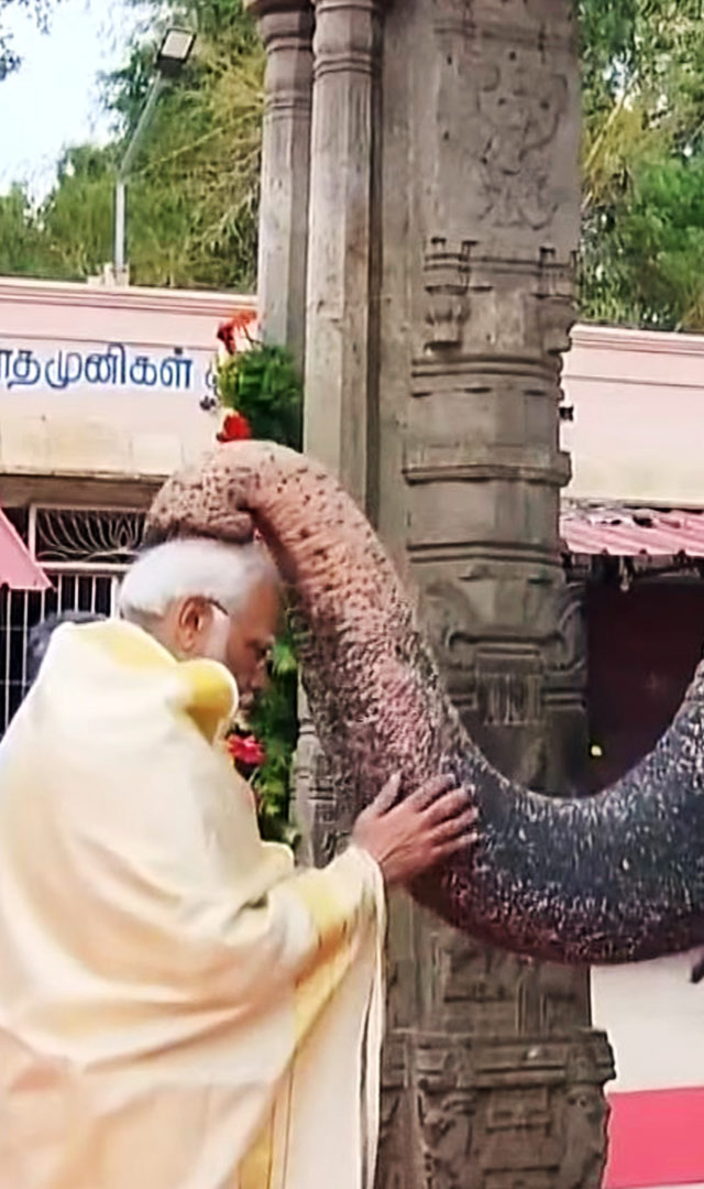 हाथी अंदल ने किया PM  मोदी का स्वागत, गुड़ खिलाया तो दिया आशीर्वाद