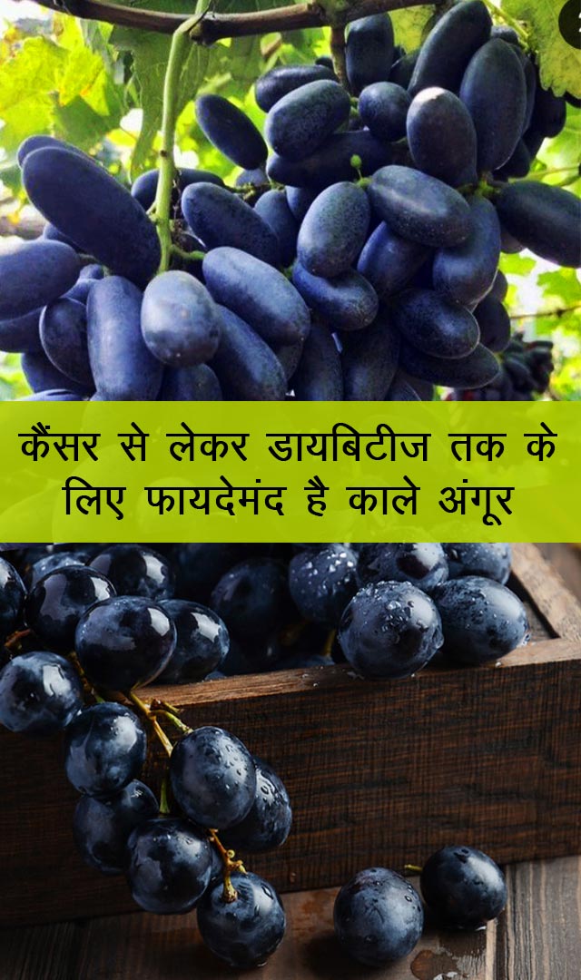 कैंसर से लेकर डायबिटीज तक के लिए फायदेमंद है काले अंगूर