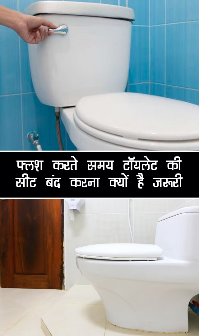 फ्लश करते समय टॉयलेट की सीट बंद करना क्यों है जरूरी
