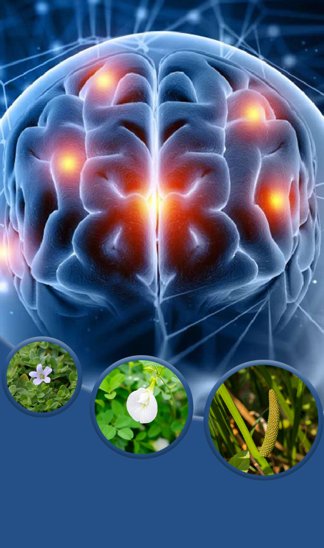 याददाश्त बढ़ाने के 10 आसान घरेलू उपाय