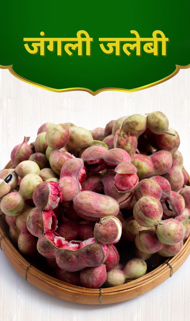 क्या कभी खाई है जंगली जलेबी? फायदे जानकर हैरान हो जाओगे