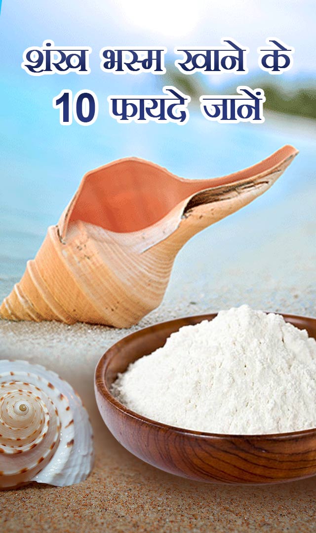 शंख भस्म खाने के 10 फायदे जानें