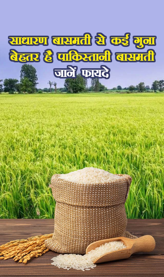 साधारण बासमती से कई गुना बेहतर है पाकिस्तानी बासमती, जानें फायदे