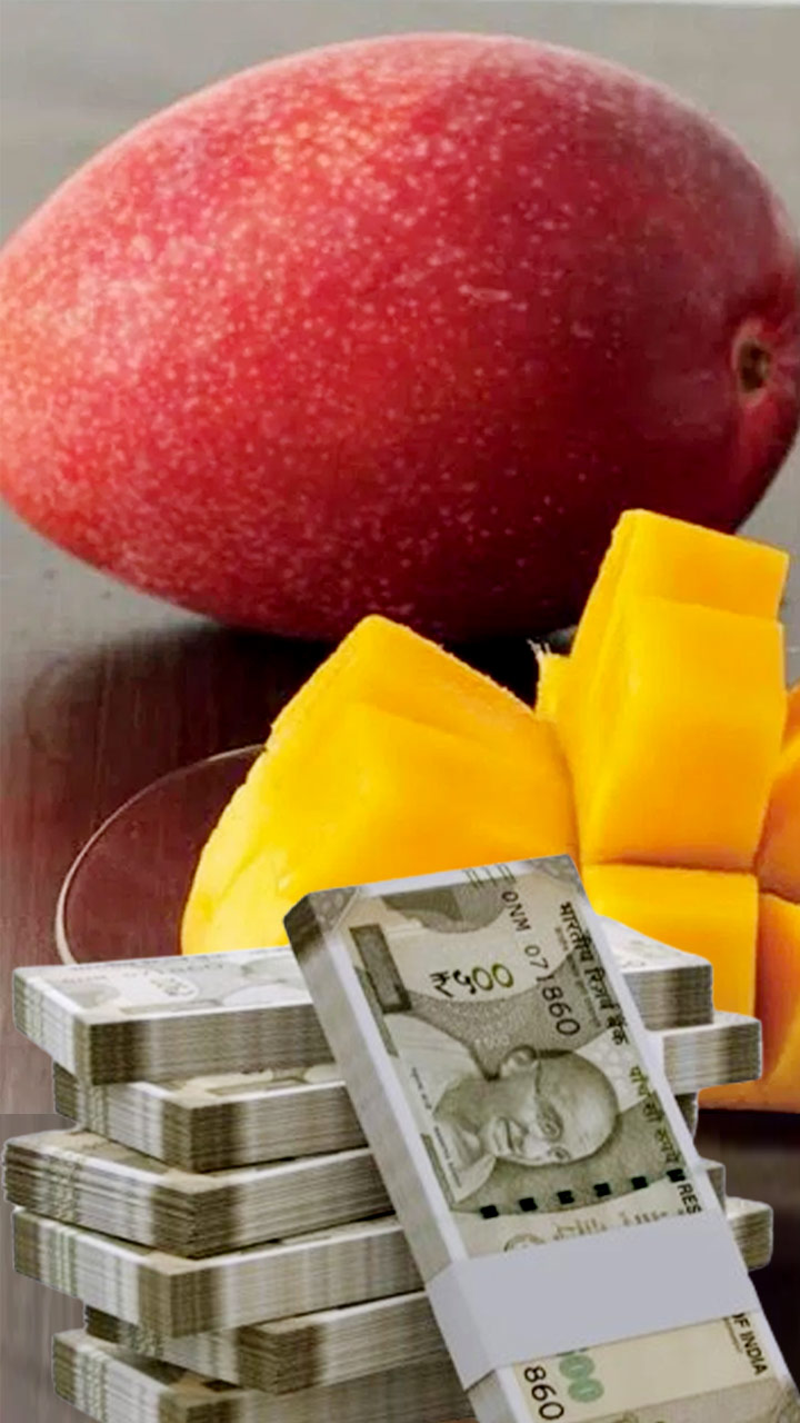 3 लाख रुपए का है बंगाल का यह आम, जानिए ऐसा क्या है इसमें खास