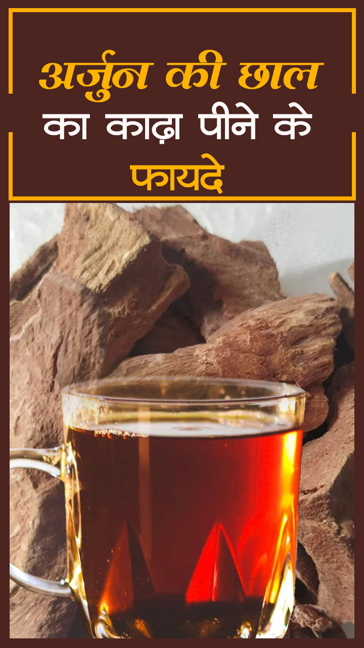 अर्जुन की छाल का काढ़ा पीने से क्या होगा?